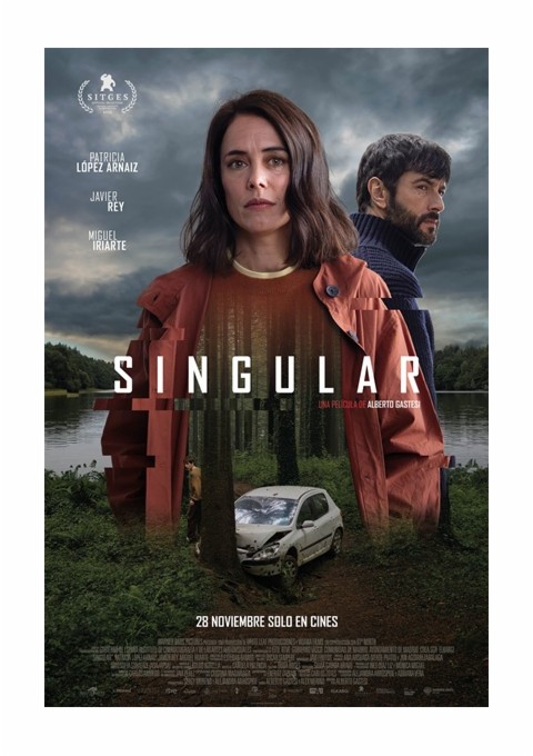 SINGULAR